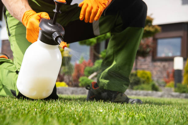 Best Wildlife Control Services  in Leo Cedarville, IN