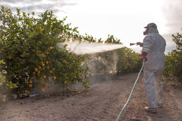 Best Pest Control for Businesses  in Leo Cedarville, IN