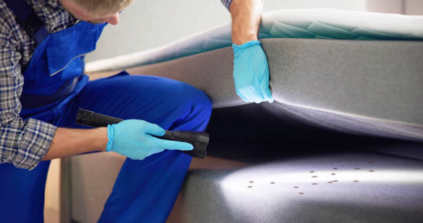 Best Affordable Pest Control Services  in Leo Cedarville, IN