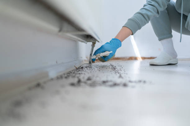 Pest Prevention Services in Leo Cedarville, IN